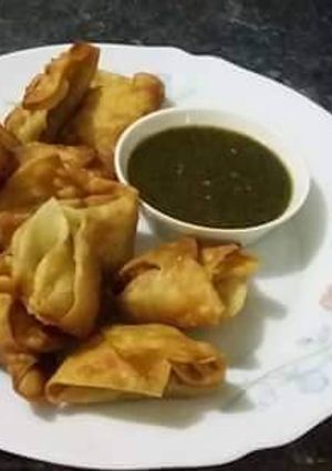 A picture of Crispy chicken wontons.