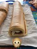 Brazo de reina