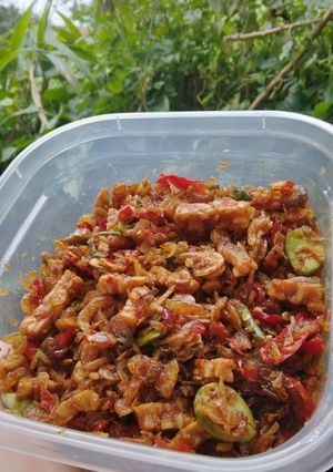 Foto resep Sambal udang kering Cabai rawit