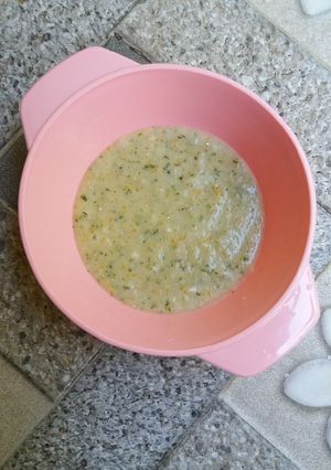 Foto resep MPASI 6 Bulan Bubur Teri Bayam