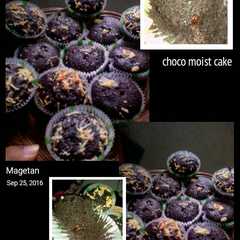 รูปของ Choco moist cake no telur