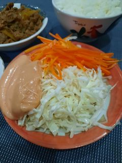 Foto resep SALAD SAYUR ala HOKBEN (MIRIP rasa HOKBEN Beneran)😛👍