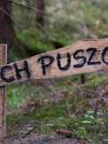 Duch puszczy