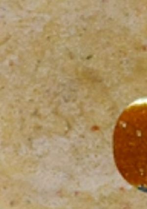 A picture of Bottle gourd dosa.