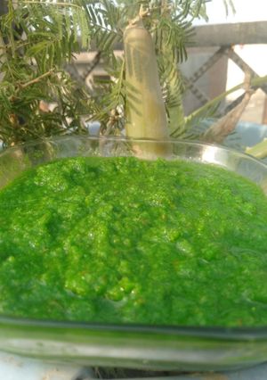आंवले की चटनी (Amle ki chutney recipe in Hindi) रेसिपी मुख्य फोटो