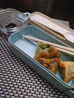 A picture of Vegan Broccoli Fried Dumplings.