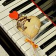 Heart pop