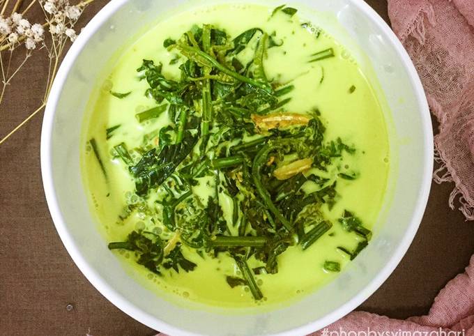 Pucuk Paku Masak Lemak Cili Padi