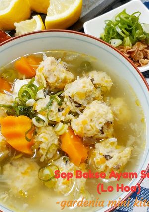 Foto resep Sop Bakso Ayam Serabut (Lo Hoa)