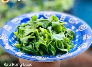 Hình của món Rau Rừng Luộc.