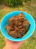 Rendang Pertama saya Enak! dan ternyata (bisa) mudah