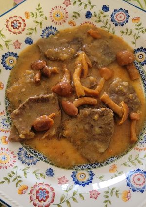 Foto principal de Fricandó de ternera con variado de setas. Plato de la cocina Catalana