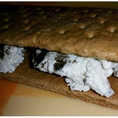 A picture of Easy Ice Cream Sandwich Dessert.