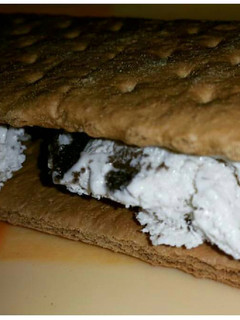 A picture of Easy Ice Cream Sandwich Dessert.