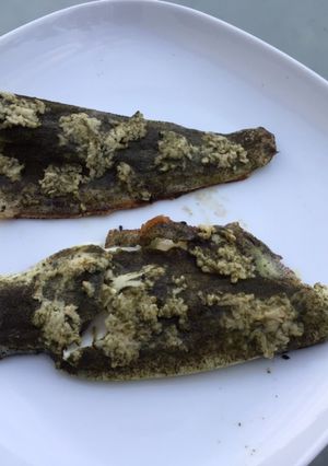 Une photo de Filets de bar marinés ail et molokhia (cuisson à la plancha)