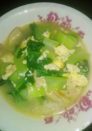 Foto resep Tumis pakcoy alakadarnya