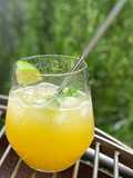 Persian Apple Mojito