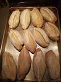 Delicious Bolillos
