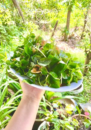 Hình của món Gỏi rau càng cua tàu hủ ki (món chay).