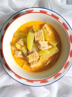 Foto resep Labu Siam Tempe Masak Santan