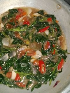 Foto resep Tumis kangkung saori