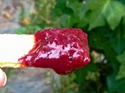 Una foto de mermelada de naranja con edulcorante