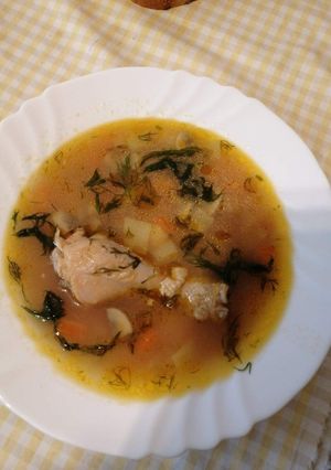 O poză a rețetei Ciorbă de legume cu copănele de pui.