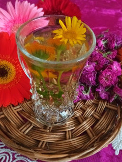 عکسی از دستور دم نوش گل همیشه بهار و دارچین
