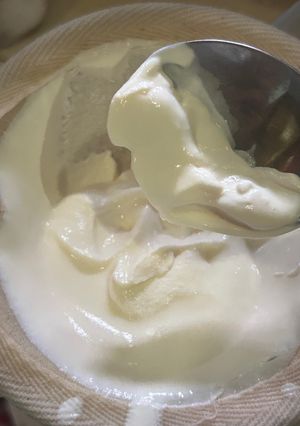 Foto resep Yoghurt Homemade dgn Rice Cooker