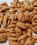 Kuih Siput