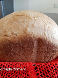 Una foto de Pan lactal en máquina con aceite sin manteca
