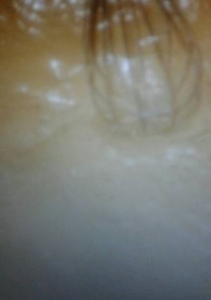 Una foto de Crema Moca