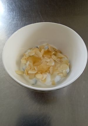A picture of Low Fat Greek Yogurt Mix.