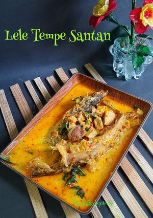 Foto resep Lele Tempe Santan