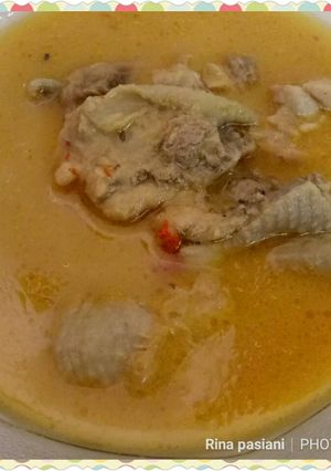 Foto resep Gulai ayam favorit anak