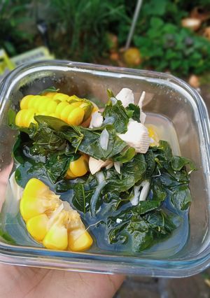 Foto resep Sayur bening katuk