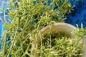 Resep Tumis Bunga Pepaya, Lezat