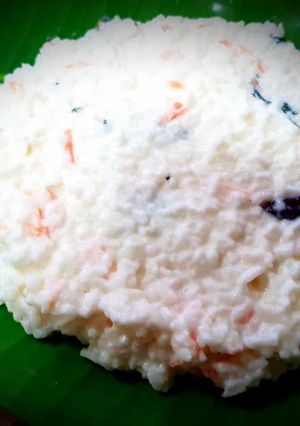 A picture of Creamy Carrot Curd Rice.