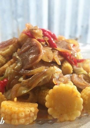 Foto resep Tumis jagung muda bakso