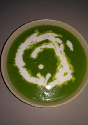 પાલક નો સૂપ (Spinach Soup Recipe In Gujarati) રેસીપી મુખ્ય ફોટો
