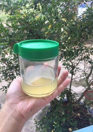 Hình của món Nước Dashi rau củ.