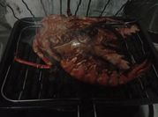Gambar udang lobster saus tiram