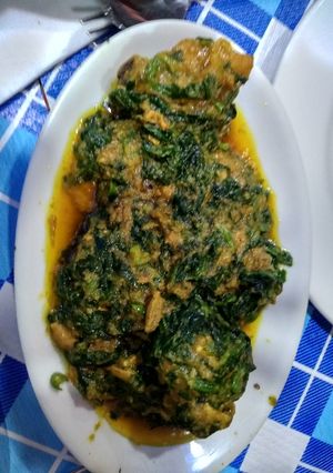 A picture of Spinach chicken.