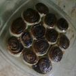حلى سينابون