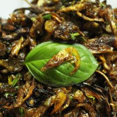 A picture of Dry/Dehydrated prawns fry and gravy.