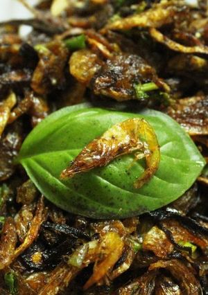 A picture of Dry/Dehydrated prawns fry and gravy.