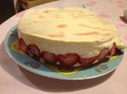 Une photo de gâteau génoise