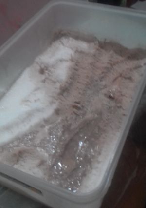 Foto resep Ice Cream Vanila Coklat Walls KW