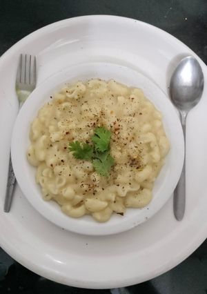 A picture of White Sauce Pasta.