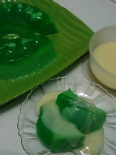 Foto resep Puding Lumut dan Fla (Vla)